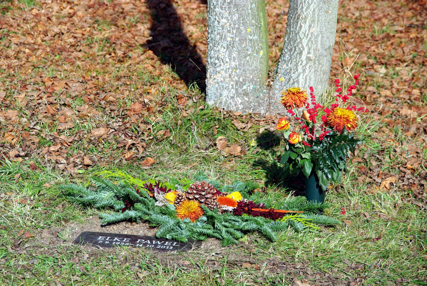 Baumgrab mit Blumen- und Tannenschmuck am Stammfuß auf Hauptfriedhof Erfurt